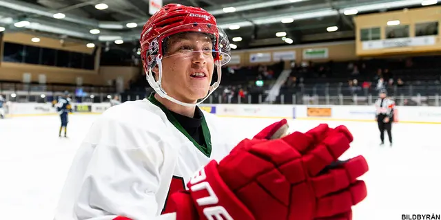 6. Filip Hasa