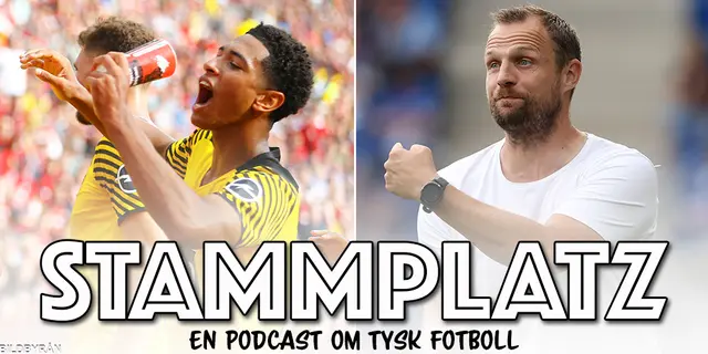 Stammplatz #13: Bo Svensson-effekten