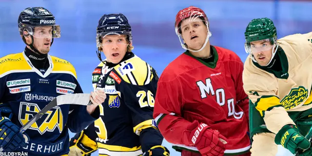 SvenskaFans rankar HockeyAllsvenskan: ”Man är på en extremt hög nivå”