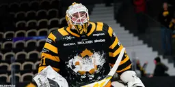 Strauss  Mann