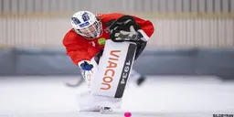 Jesper Thimfors