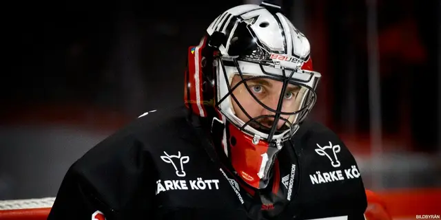 Jhonas Enroth är klar för AIK