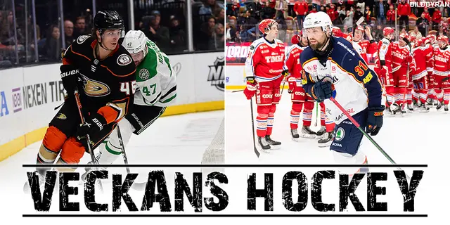 Veckans hockey: Mesta mästarnas dunderfiasko