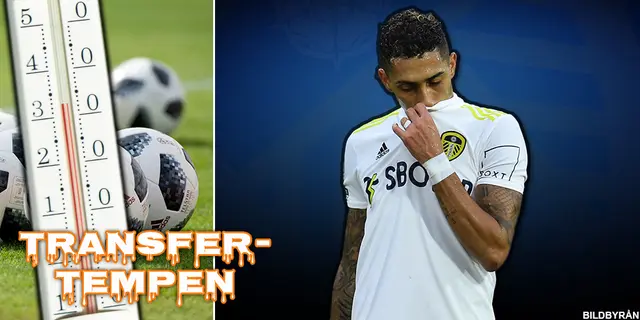 Transfertempen: ”Så fumligt, så klantigt, så korkat”