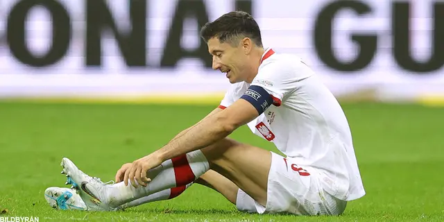 Frankrike – Polen: VM är slut trots en hyfsad insats