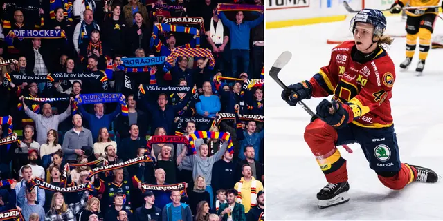 Positiva siffror för Djurgården Hockey