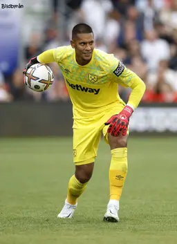 Alphonse Areola