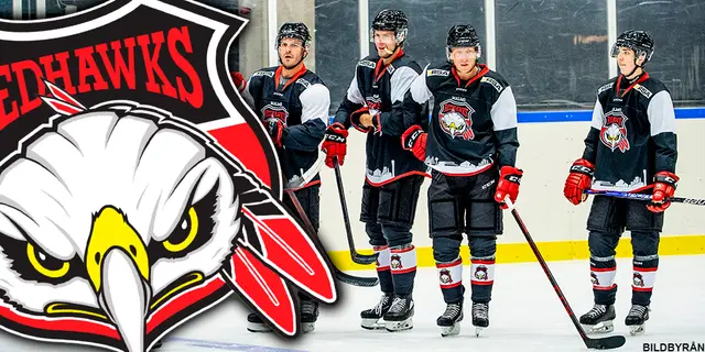 SvenskaFans rankar SHL: 14. Malmö