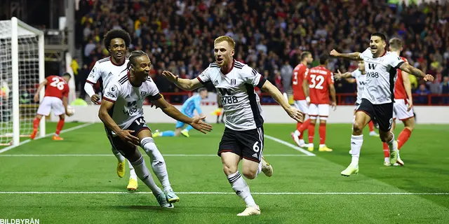 SvenskaFans Team of the Year: Säsongens mål och match