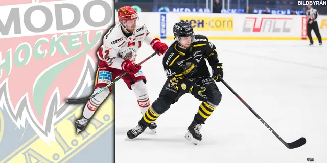 Panelen: "Inte en superlätt matchserie"