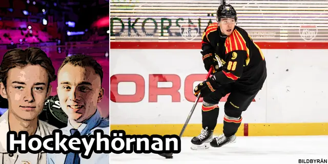 Hockeyhörnan om Brynäs tuffa läge: ”Det ser helt lojt ut” 