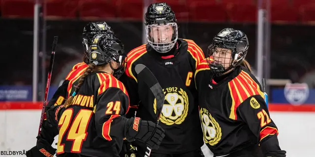 SDHL: ”Brynäs gjorde vad som krävdes, helt enkelt”