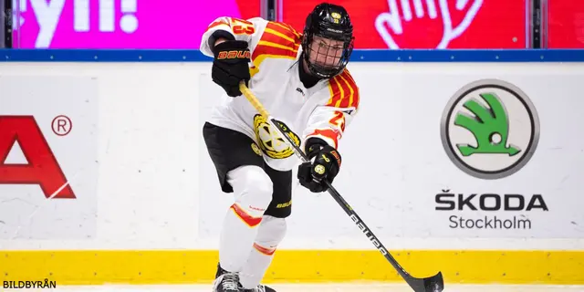 SDHL: Brynäs förlorade målrik match mot SDE