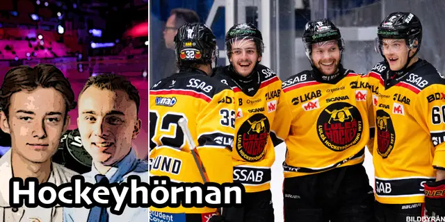 Hockeyhörnan sågar supportrarna: ”Så här är businessen” 