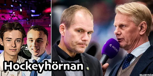 Hockeyhörnan lackar mot domardrevet: "Ge tränarna böter, det är ett slag i ansiktet”