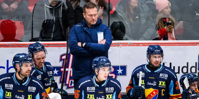 ”Vi kanske försöker låna in från SHL"