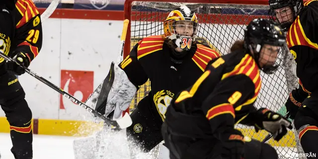 SDHL: Talangen höll nollan när Brynäs besegrade Djurgården