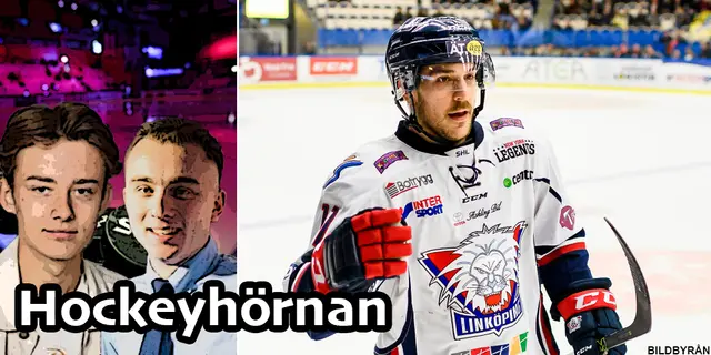 Hockeyhörnan: Forwarden som kan bli aktuell för Linköping 