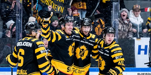 Grundseriebetyg: Skellefteås forwards 