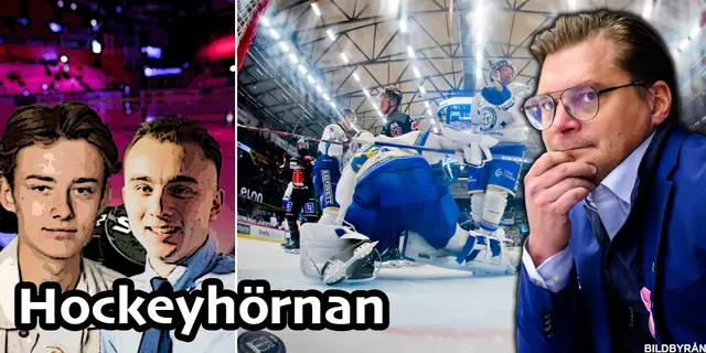 Hockeyhörnans hårda dom: ”Han borde ifrågasättas mer” 