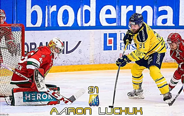 AARON LUCHUK