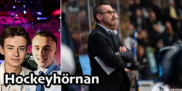 Hockeyhörnan: ”Ett IKEA-bygge utan instruktionsbok” 