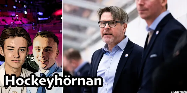 Hockeyhörnan: ”Läs regelboken innan ni skriker – domarna gjorde rätt” 