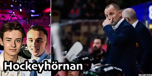 Hockeyhörnan: ”Därför kan Luleå hamna i ett kval” 