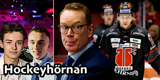 Hockeyhörnan: ”De kan bli livsfarliga underdogs i ett slutspel” 