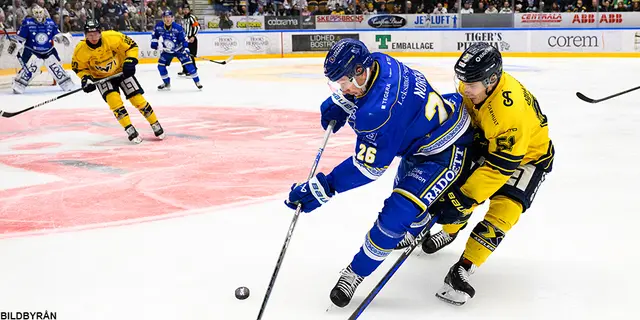 Inför LIF-HV71