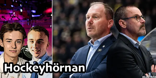 Hockeyhörnan: ”Helt rätt med en ny röst i gruppen”