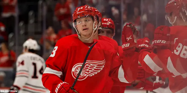 ”För enkelt att besegra Red Wings”