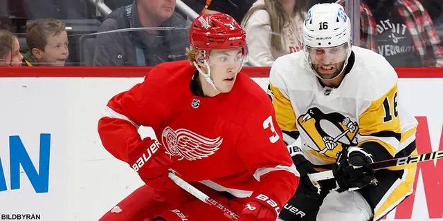 Årets genomgång 23/24 - Detroit Red Wings