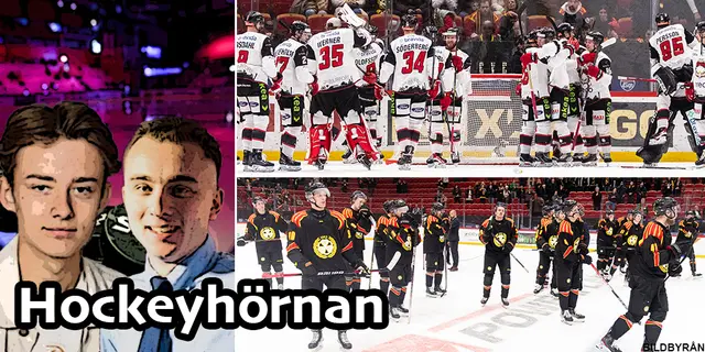 Hockeyhörnan: ”Hockeyns himmel och helvete” 