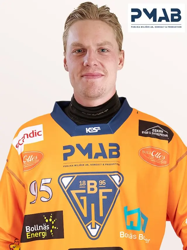 Erik  Pettersson