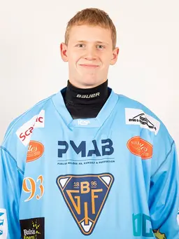 Oswald Gustavsson