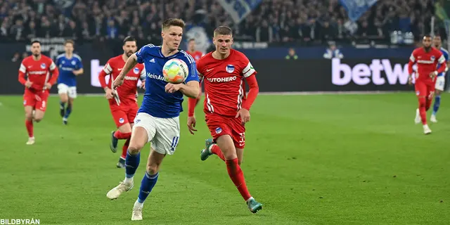 Hertha förlitar sig på Dárdai