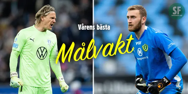 Vårens bästa i Allsvenskan och Superettan: Målvakt