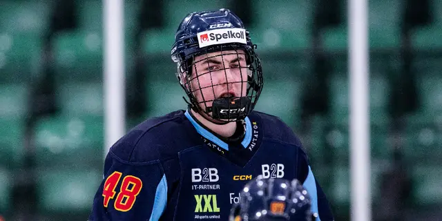 En djurgårdare valdes i NHL-draften