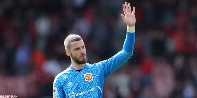 Tack för allt, David de Gea