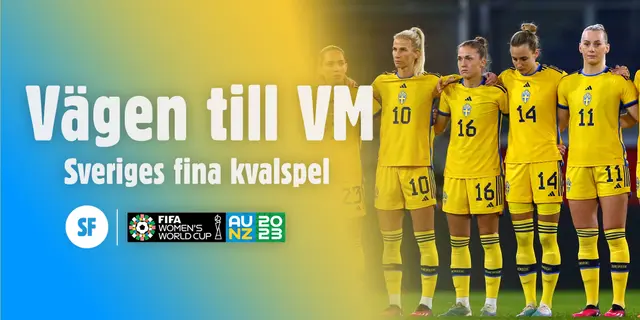 Sveriges väg till VM