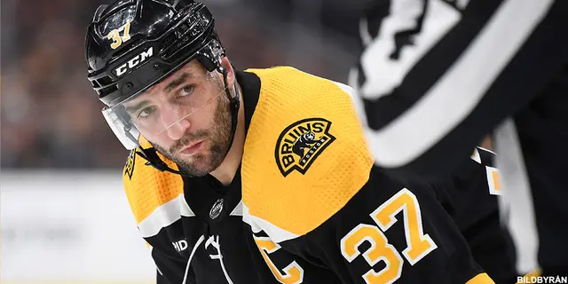 Genomgång 23/24 - Boston Bruins