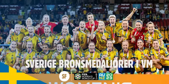 Sverige bronsmedaljörer i VM