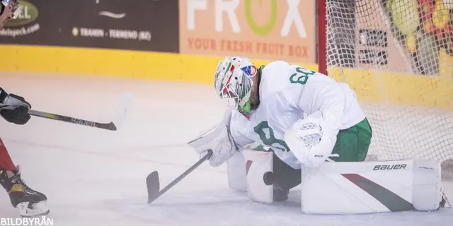 Petr Kvaca fick hålla nollan i debuten - Rögle slog tyska Augsburger Panthers