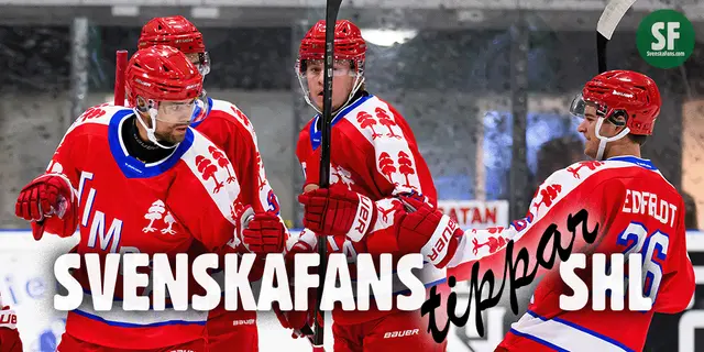 SvenskaFans tippar SHL: 8. Timrå – ”Forwards ska bidra ännu mer”