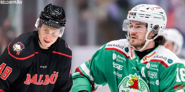 Inför SHL-premiären: Försäsongssummering - Rögles hemliga vapen, Everbergs status och motståndarkoll