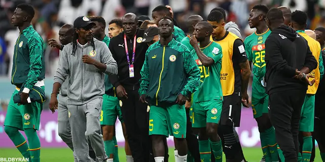Inför AFCON 2024: Grupp C och D