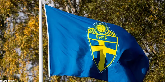 Ny FIFA-böter efter matchen mot Polen: ”Vi beklagar”