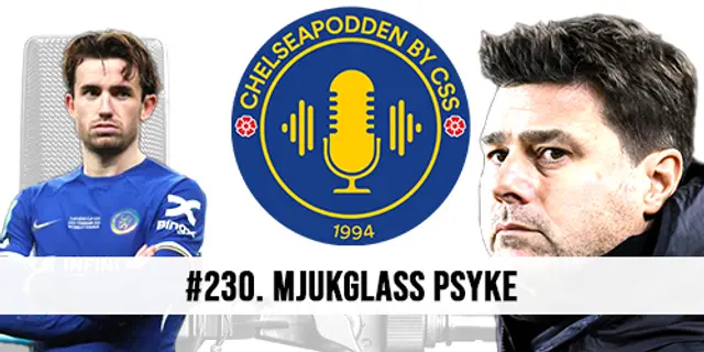 #230. Mjukglass Psyke