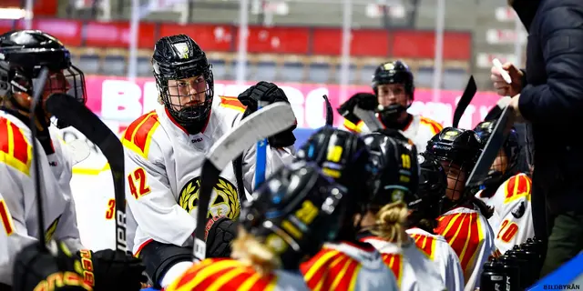 SDHL: Förlust för ett svagt Brynäs i den andra semifinalen